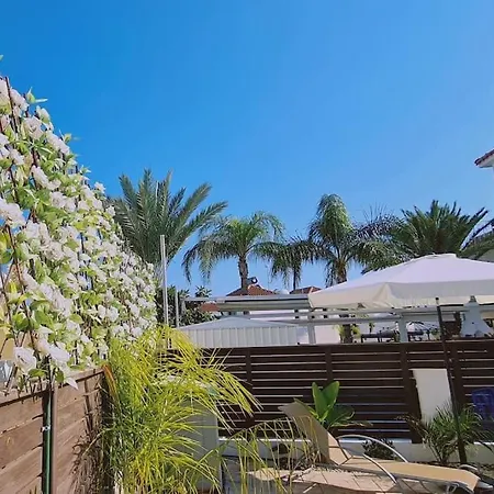 Casa Palmera * Paralimni