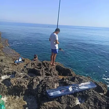 Casa Palmera فيلة